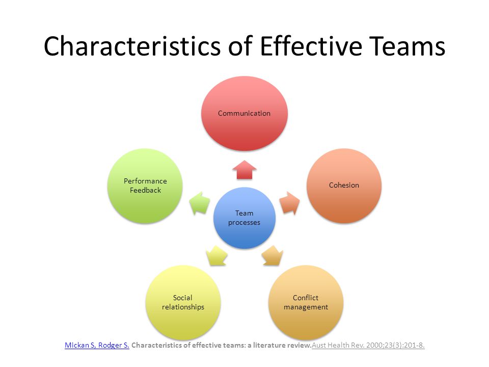 literature review on team performance